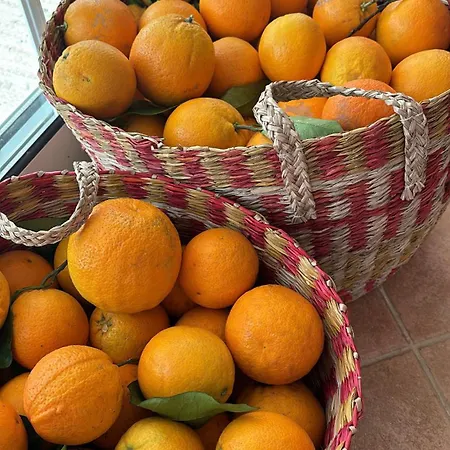 Quinta Oliveiras Pansiyon