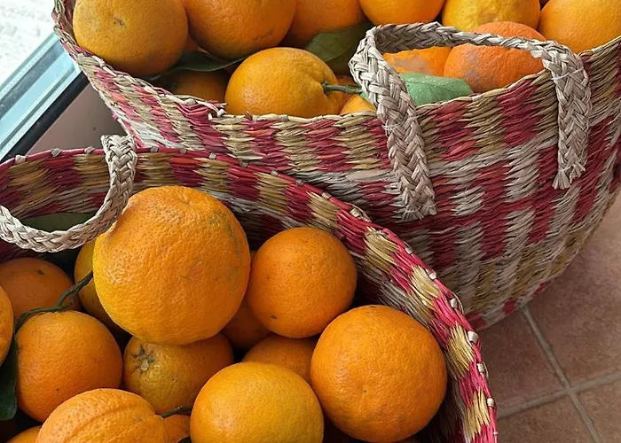 Quinta Oliveiras Pansiyon