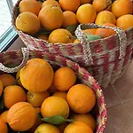 Quinta Oliveiras Privatunterkunft